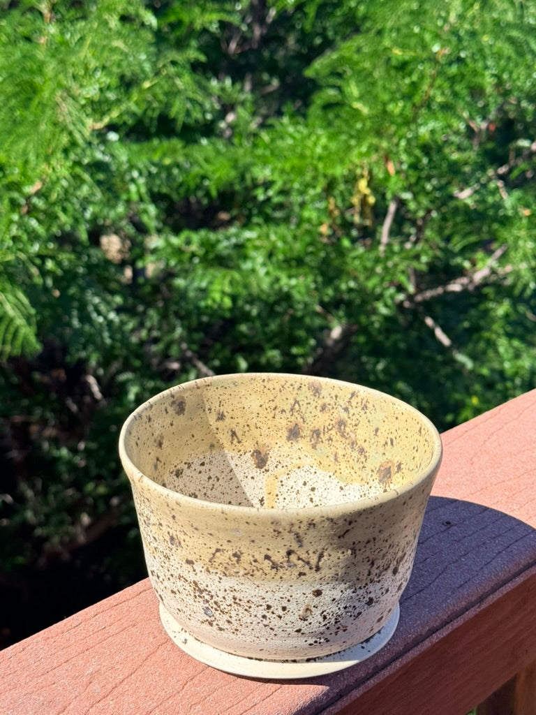 Ceramic Planter — Winterwood Glaze with Sage Green Rim