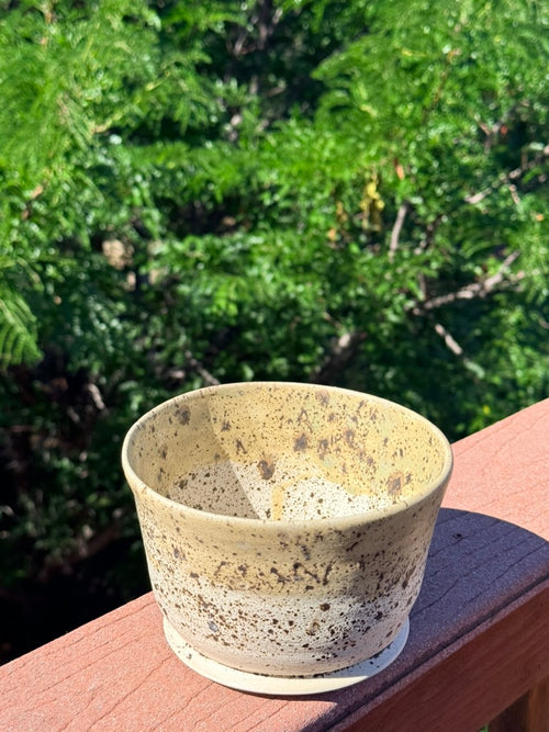 Ceramic Planter — Winterwood Glaze with Sage Green Rim