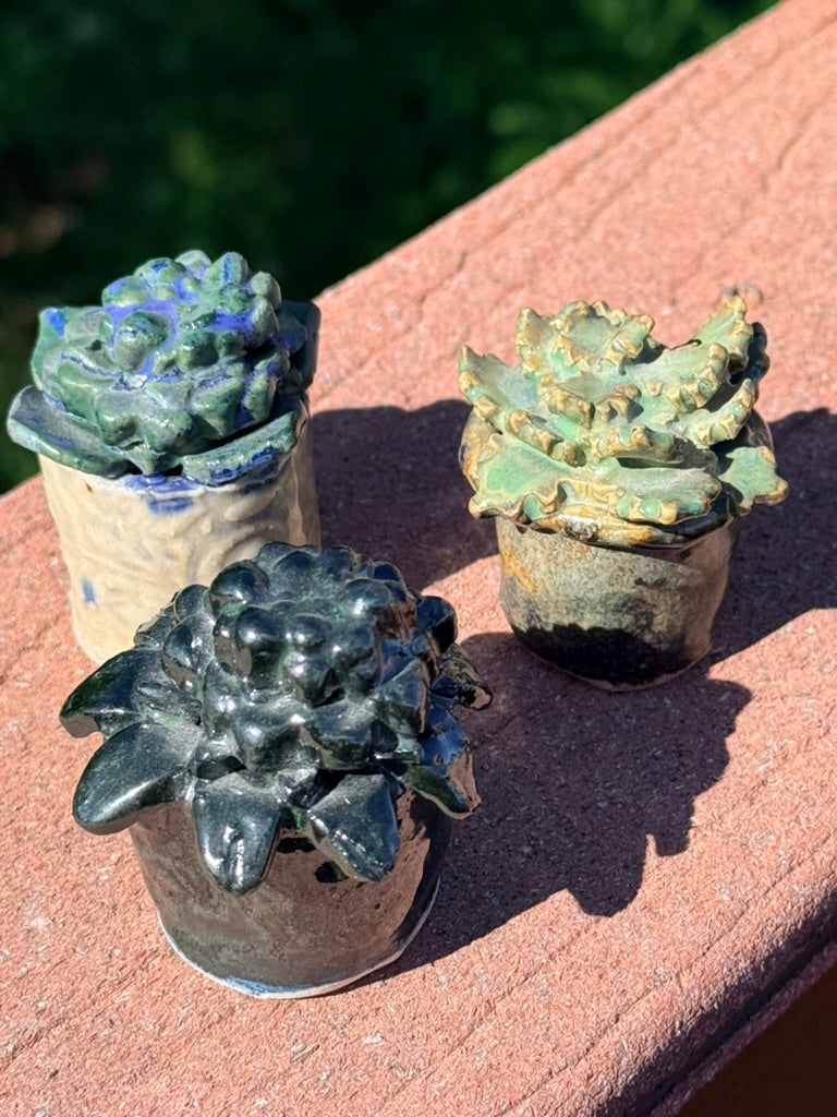Ceramic Succulent Set of Three