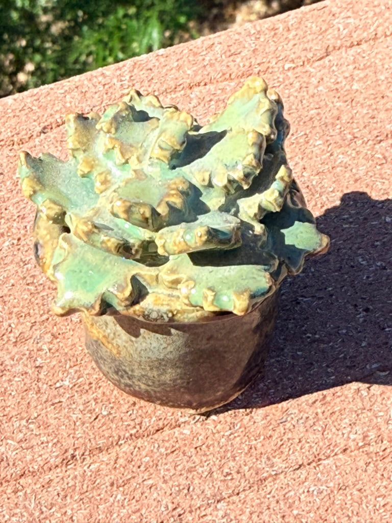 Ceramic Succulent Set of Three