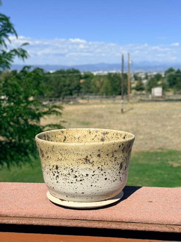 Ceramic Planter — Winterwood Glaze with Sage Green Rim