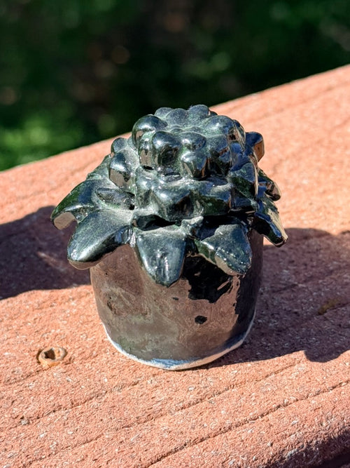 Ceramic Succulent Set of Three