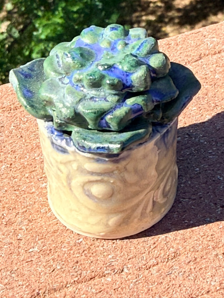 Ceramic Succulent Set of Three