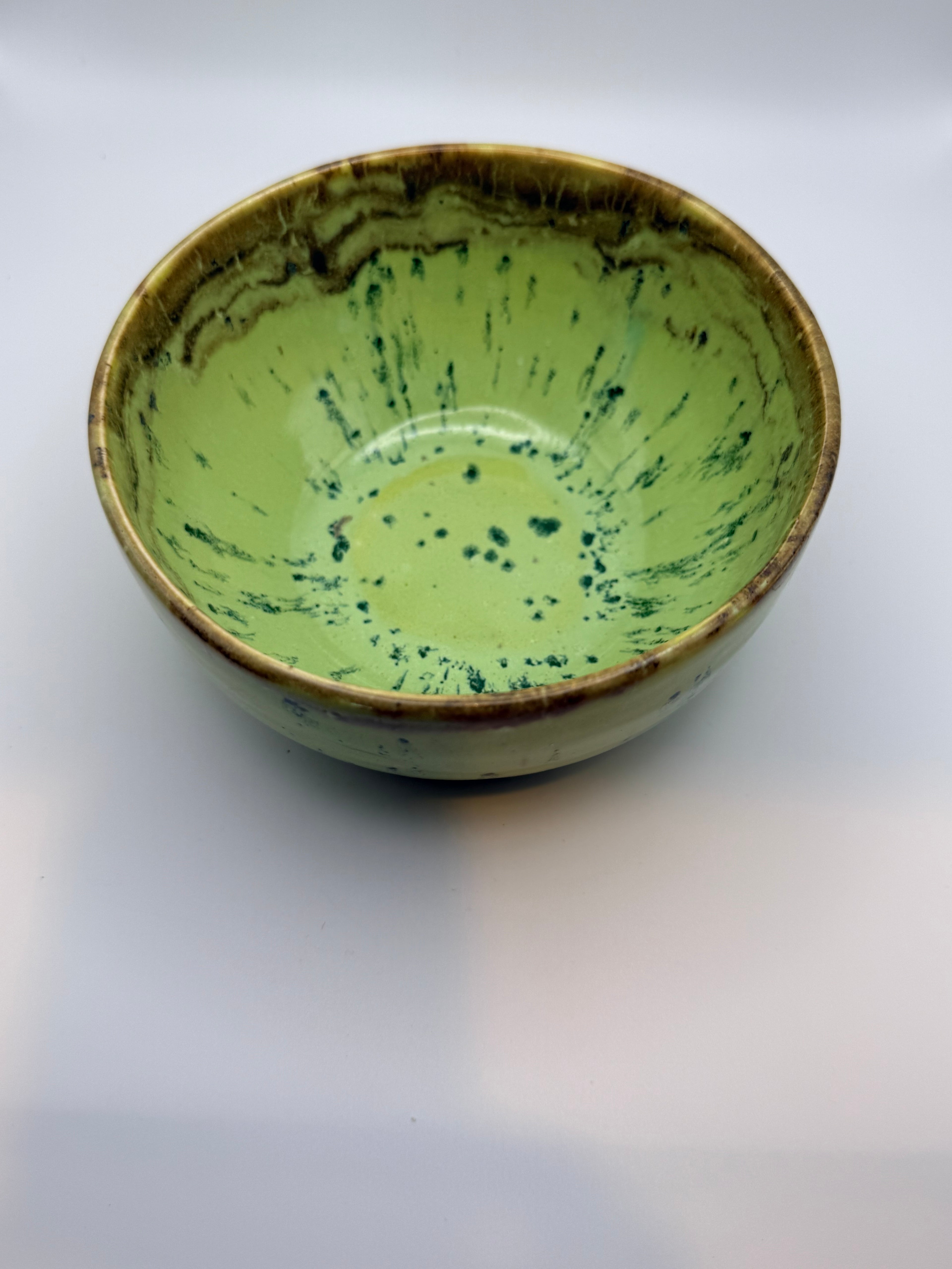 mint chocolate chip ice cream bowl