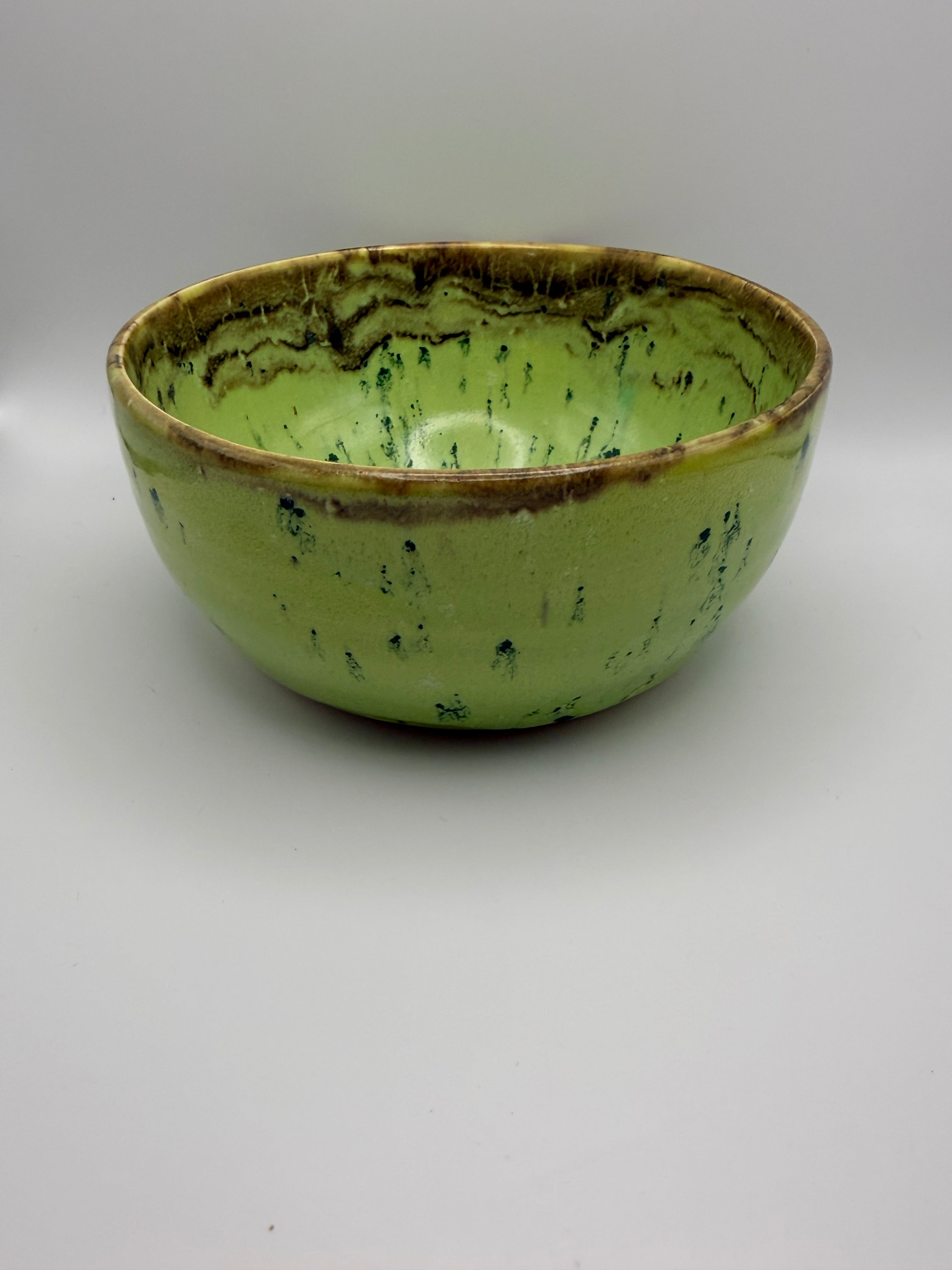 mint chocolate chip ice cream bowl