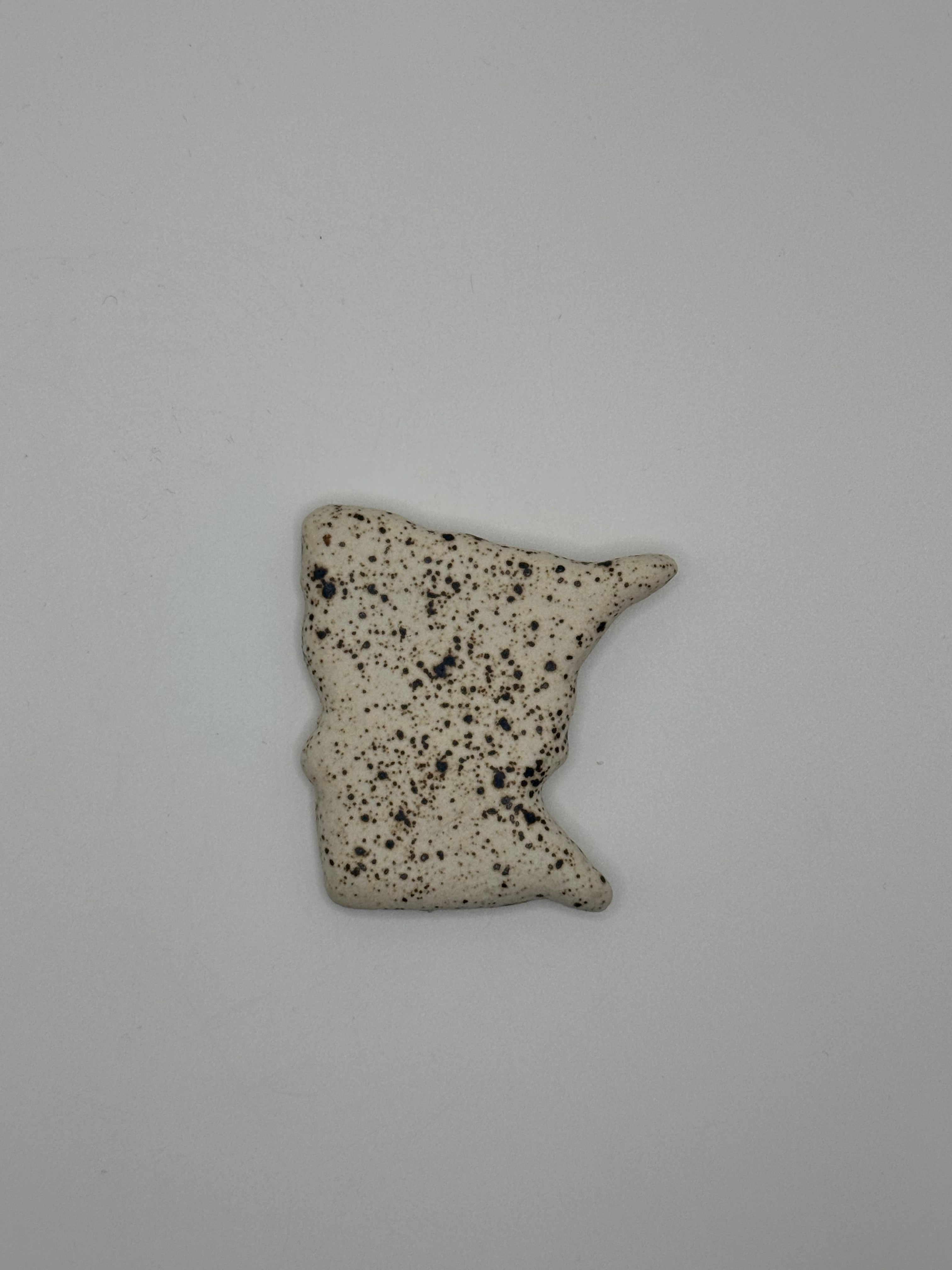 Minnesota magnet